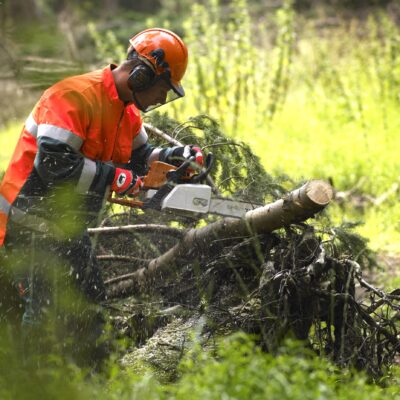 Landbouw/Hovenier/Bosbouw